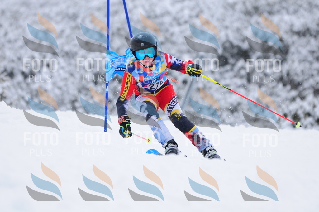 C2917 | holidayphoto