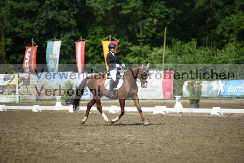 DSC_9683 | equestrian-live-com