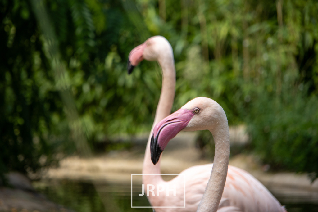 IMG_7356 | jrph - Realisiert mit Pictrs.com