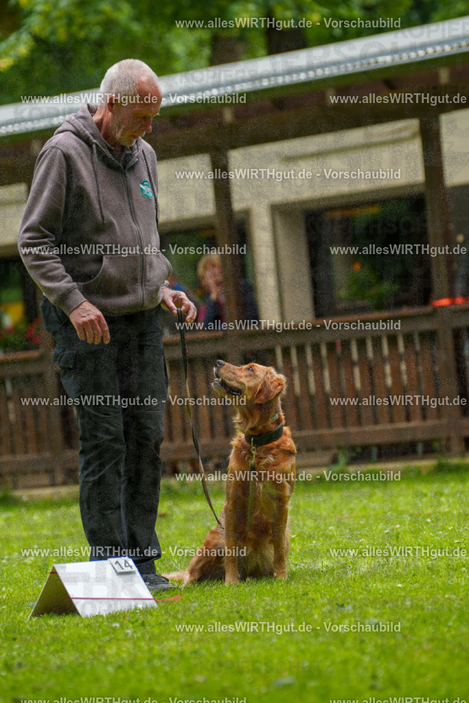 @allesWIRTHgut_Tierfotografie - www.allesWIRTHgut.de - 125821-7R509617 | Professionelle Tierfotografie in Mönchengladbach von Daniel Wirth (allesWIRTHgut). Liebevolle & natürliche Bilder von Hunden & Katzen für unvergessliche Erinnerungen.