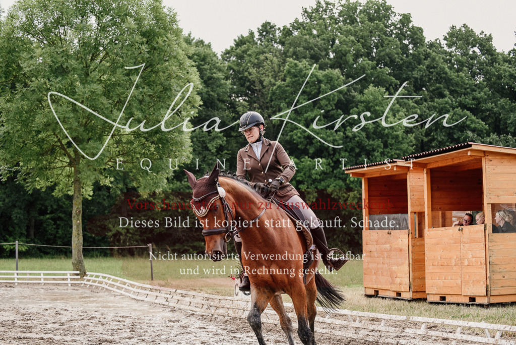 DSC_9547 | Pferde- und Turnierfotografie in Westsachsen. Pferdeportraits, Auftragszeichnungen und intuitive Kunst.