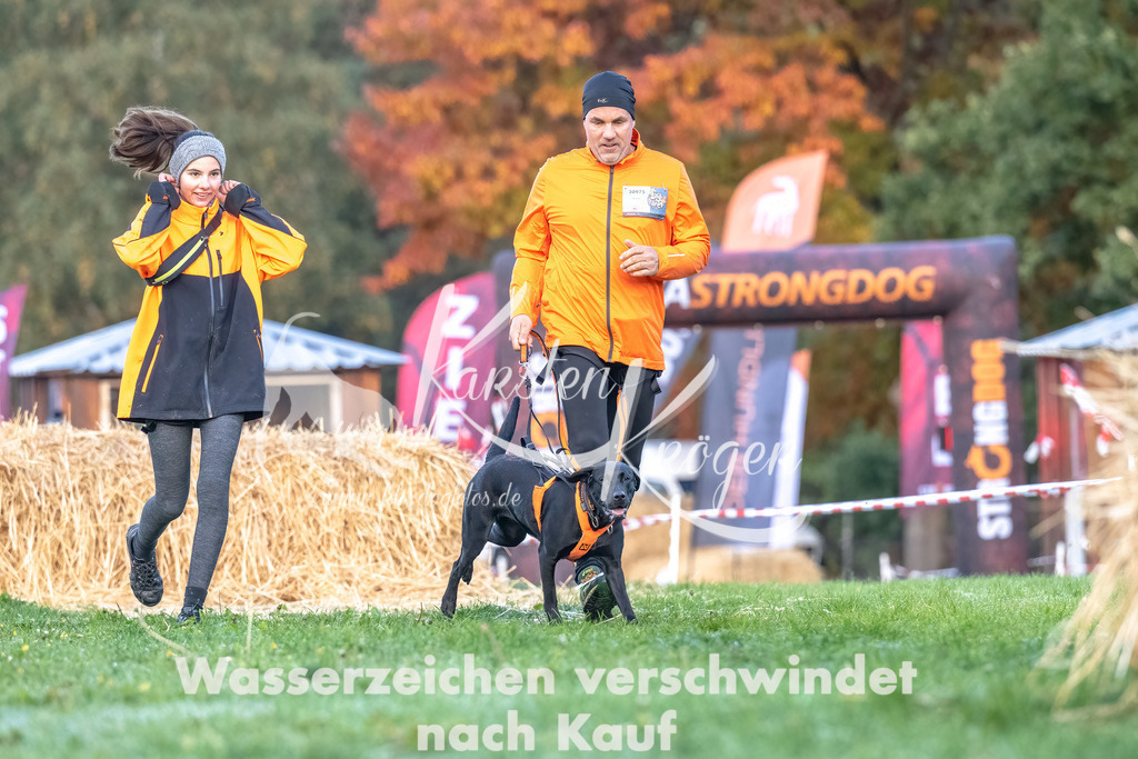 0816_ZZ90077-Bearbeitet | kk-dogfotos