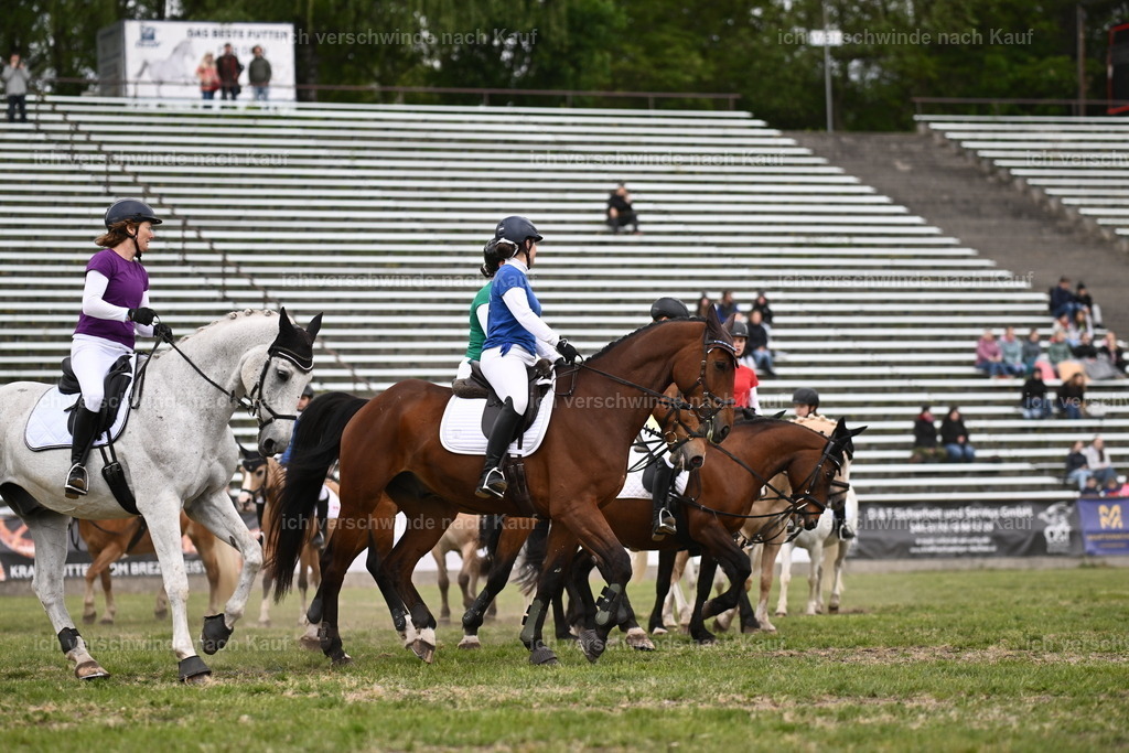 PI26_Show_Sara_Landvogt_226_1711.JPG | working equitationturnier fotograf videograf stoibphotography marixx film working equitation deutschland reitsport turnierfotografie eventfotografie equestrian events