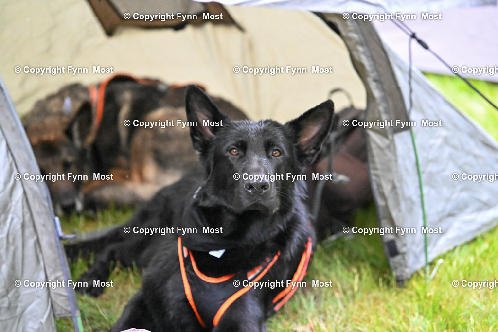 DSC_8085 | Hallo und herzlich Willkommen auf meiner Shop-Seite Fynn Most.

Ich wünsche Dir viel Spaß beim stöbern durch die Bilder, wenn Du Fragen hast oder Bilder vermisst, kannst du mir gerne eine Nachricht schreiben. - Realisiert mit Pictrs.com