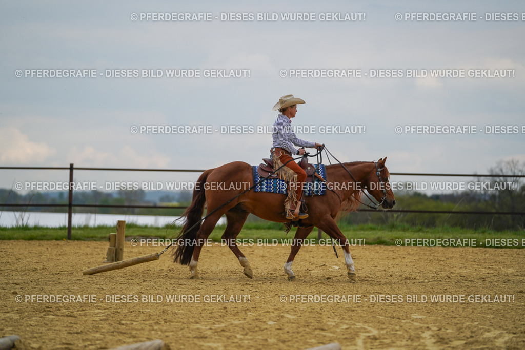 DSC07761 | Pferdegrafie