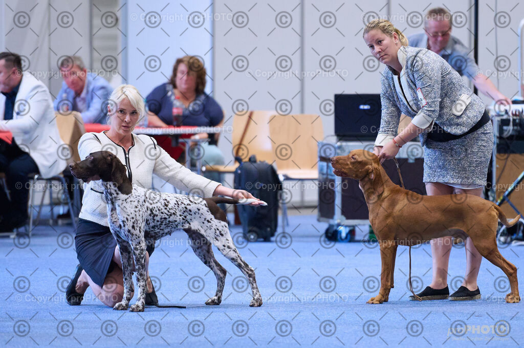 202406_ÖKV-IHA-Tulln24_DSC_4089 | proPHOTO - Realisiert mit Pictrs.com