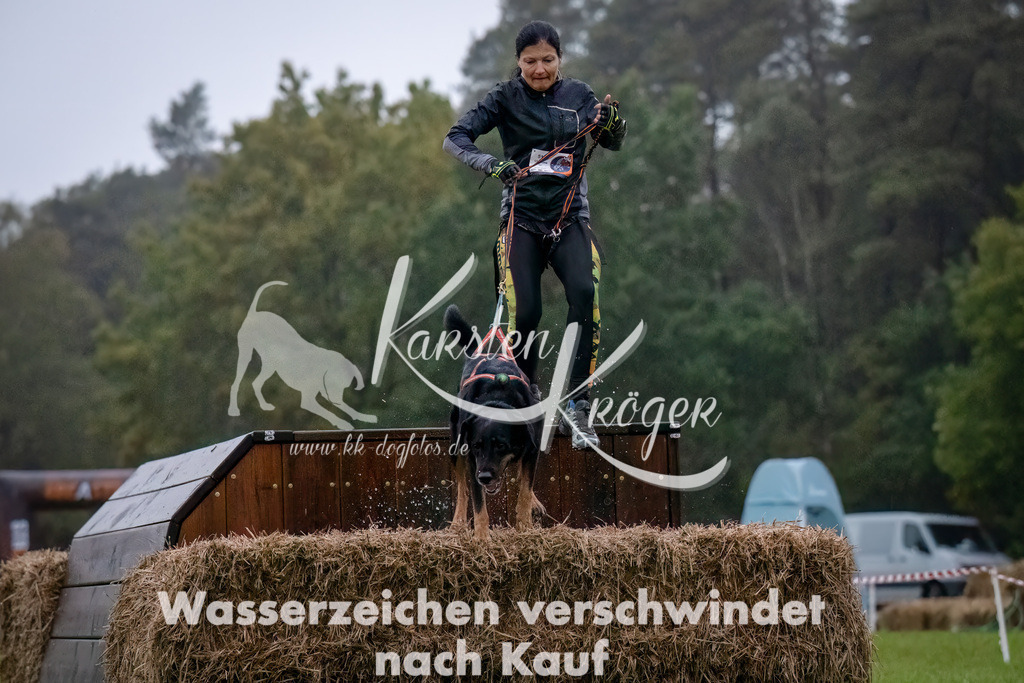 0810-_ZZ90549-Bearbeitet-Bearbeitet | kk-dogfotos
