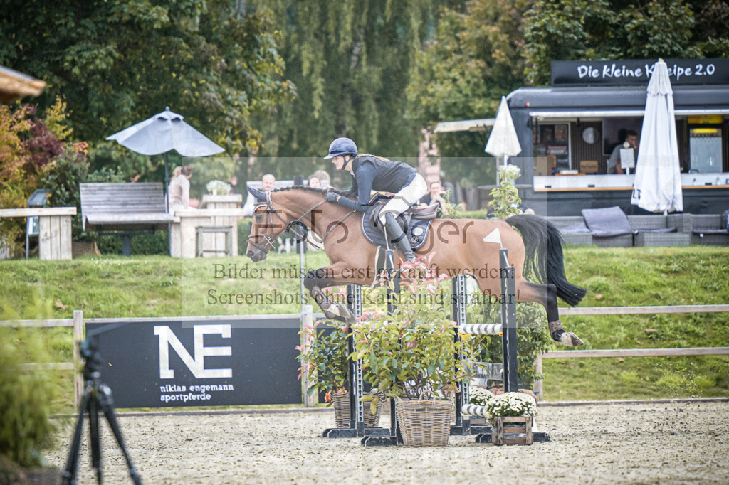 DOS_2775 | Entdecke hochwertige Reitturnierfotos von Foto Oger. Professionell, emotional und authentisch – jetzt Lieblingsmomente im Shop bestellen.Deutschlandweite Turnierfotografie. - Realisiert mit Pictrs.com