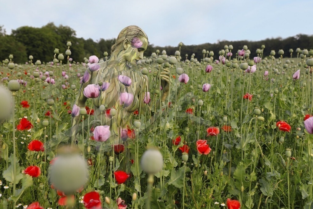 NatureArt-MOHNMIX_0727a | Die Kapseln waren einmal rosa | #010 | Modell: Tina | Foto: Tschiponnique Skupin - Realisiert mit Pictrs.com