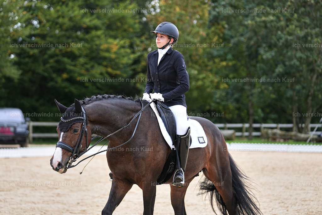 3-224-Dressur M_-Marixx-2042 | working equitationturnier fotograf videograf stoibphotography marixx film working equitation deutschland reitsport turnierfotografie eventfotografie equestrian events