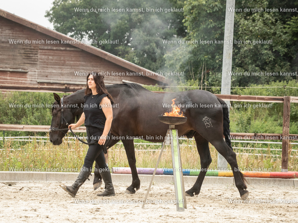 598A6479 | photographylinaismer - Realisiert mit Pictrs.com