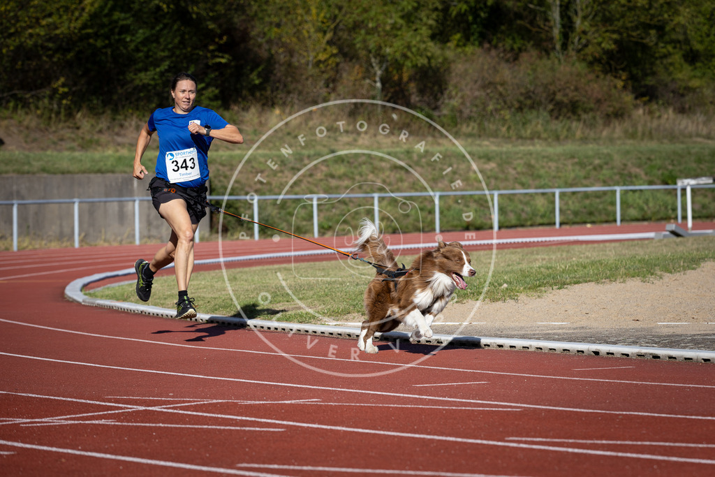 Pfotenfotografie_DV3A8704 | Hundefotografie, Tierfotograf, Pfotenfotografie, Fotoshooting Hund, Hunde Portrait, Hundesport, Hundeportraits, Heideshooting, Hunde, Sportfotograf, Hundefotograf, Turnierhundsport, THS,  - Realisiert mit Pictrs.com