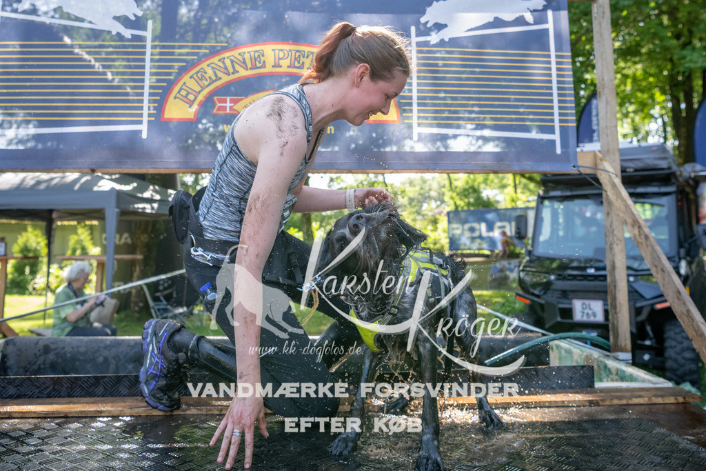 1521_ZZ90854 | kk-dogfotos