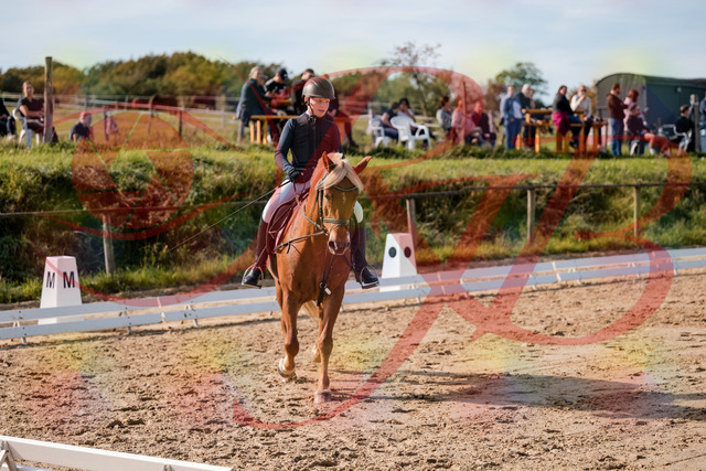 2026_10_03_Siefer-Hof_120157_Z63_34765732 | Professionelle Reitsport-, Turnier- und Eventfotografie von Robert Broda. Galerien mit ausgewählten und bearbeiteten Bildern direkt online ansehen und bestellen.