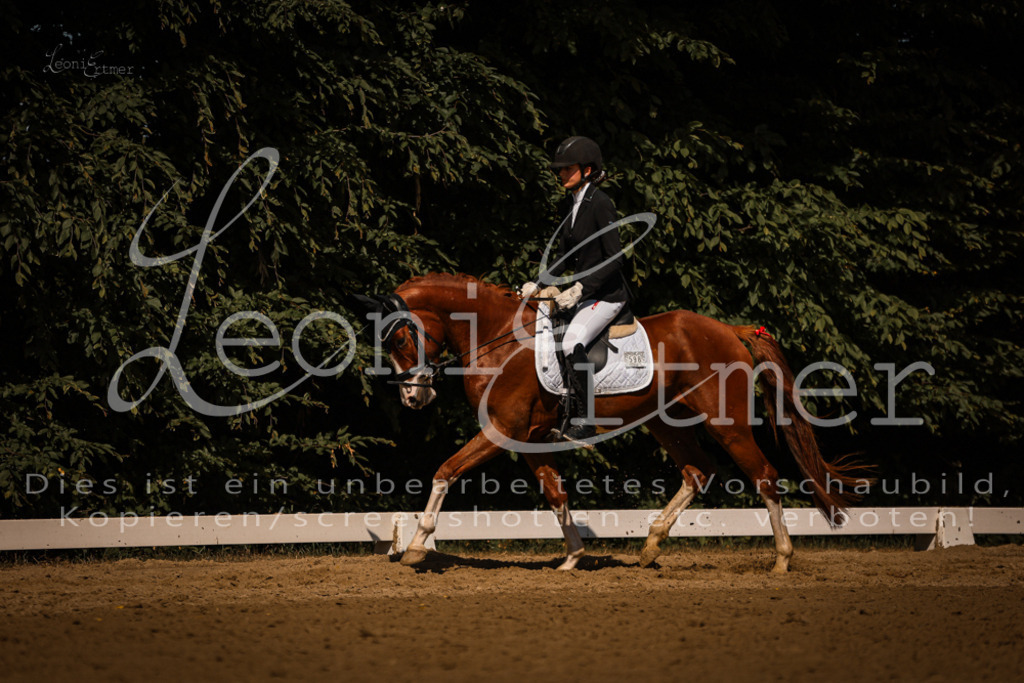 07.FrDrPA00324 | Leoni Ertmer Photography - Realisiert mit Pictrs.com