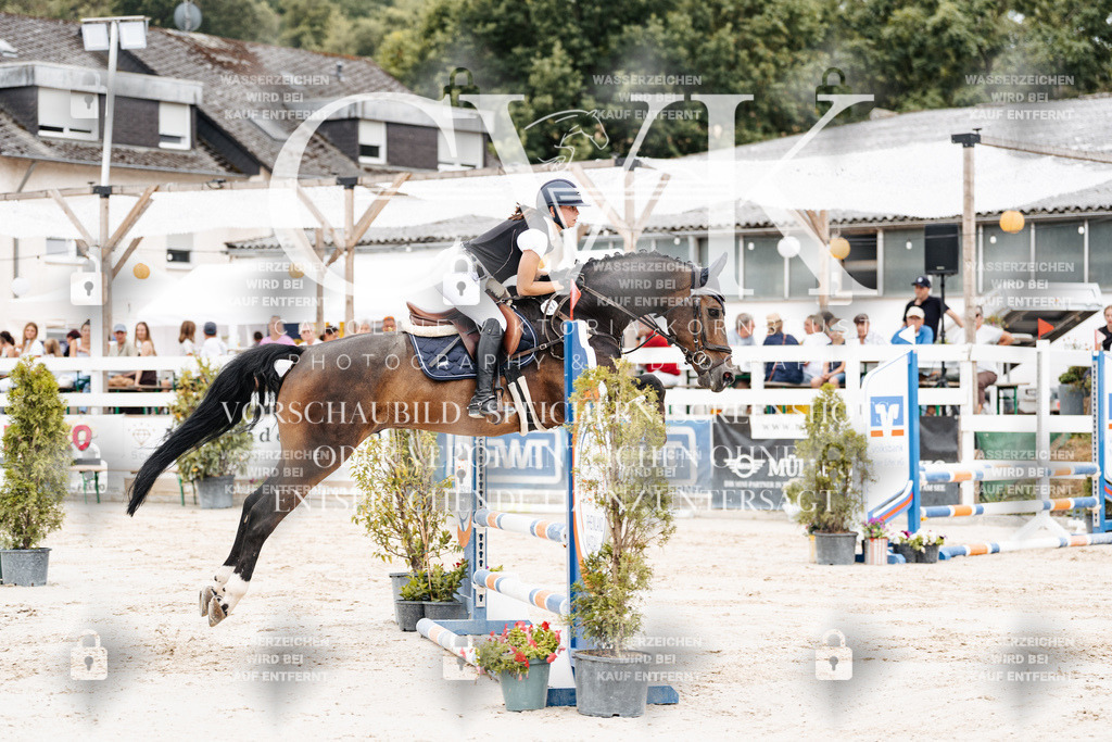 CK907971 | Turnierfotografie Pferdefotografie Trier Rheinland-Pfalz Pferdesport Reitsport Tierfotografie Sportfotografie Pferdevideo Pferdevideografie Equestrianvideography equestrianphotography  - Realisiert mit Pictrs.com