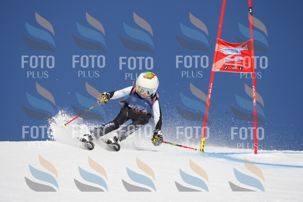 _W1G1936 | holidayphoto