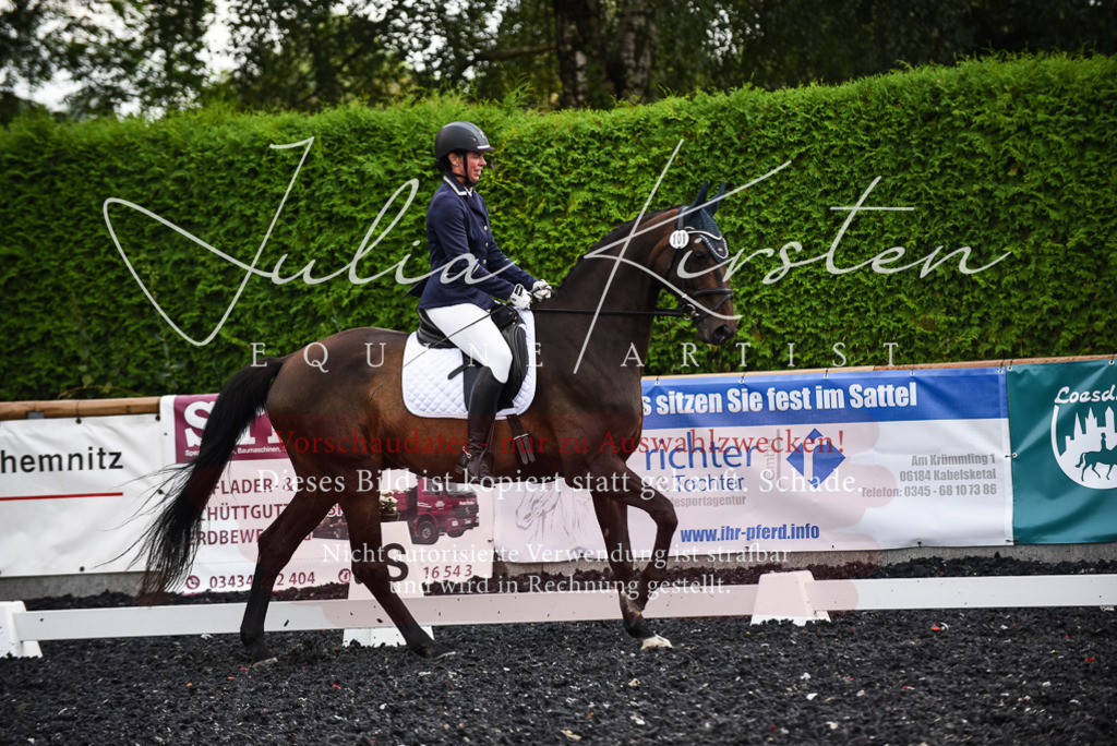 DSC_3040 | Pferde- und Turnierfotografie in Westsachsen. Pferdeportraits, Auftragszeichnungen und intuitive Kunst.