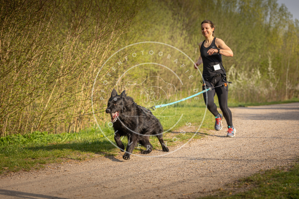 Pfotenfotografie_DV3A4483 | Hundefotografie, Tierfotograf, Pfotenfotografie, Fotoshooting Hund, Hunde Portrait, Hundesport, Hundeportraits, Heideshooting, Hunde, Sportfotograf, Hundefotograf, Turnierhundsport, THS,  - Realisiert mit Pictrs.com