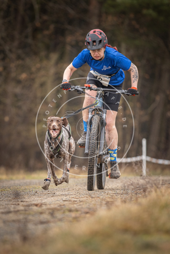 DV3A3241 | Hundefotografie, Tierfotograf, Pfotenfotografie, Fotoshooting Hund, Hunde Portrait, Hundesport, Hundeportraits, Heideshooting, Hunde, Sportfotograf, Hundefotograf, Turnierhundsport, THS,  - Realisiert mit Pictrs.com