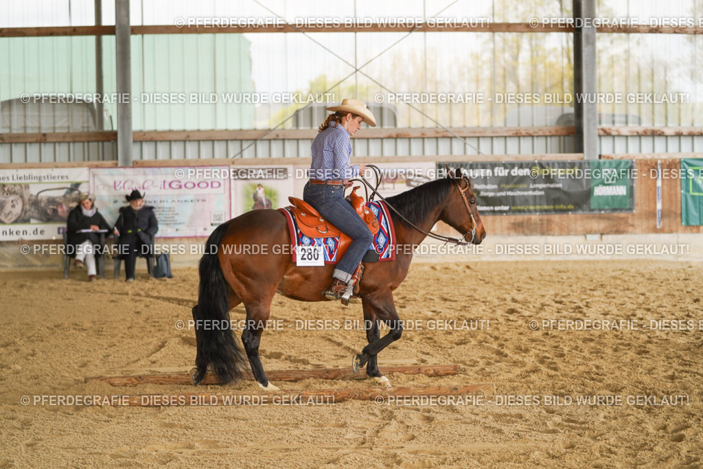 DSC03247 | Pferdegrafie