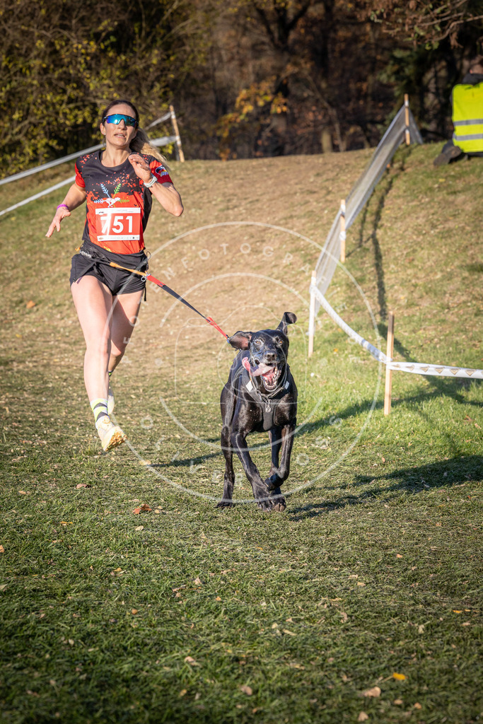 CaniXpix_0L8A9857 | Hundefotografie, Tierfotograf, Pfotenfotografie, Fotoshooting Hund, Hunde Portrait, Hundesport, Hundeportraits, Heideshooting, Hunde, Sportfotograf, Hundefotograf, Turnierhundsport, THS,  - Realisiert mit Pictrs.com