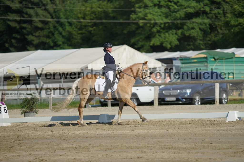 DSC04139 | equestrian-live-com