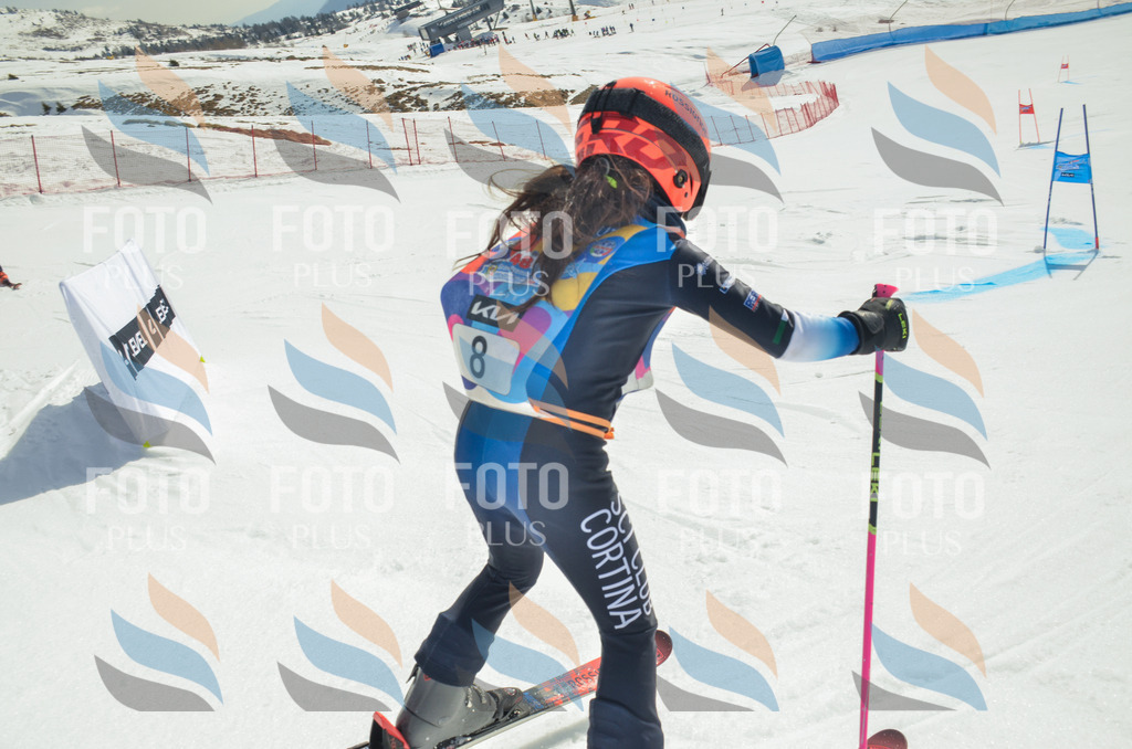 _ELE4511 | holidayphoto