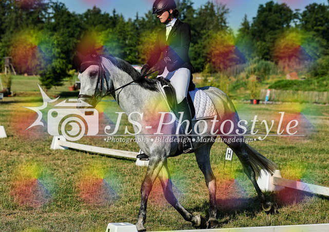 20260628_14a_VA_Dressur-2 | JS-Photostyle - Sport-/Portrait- & Eventfotografie