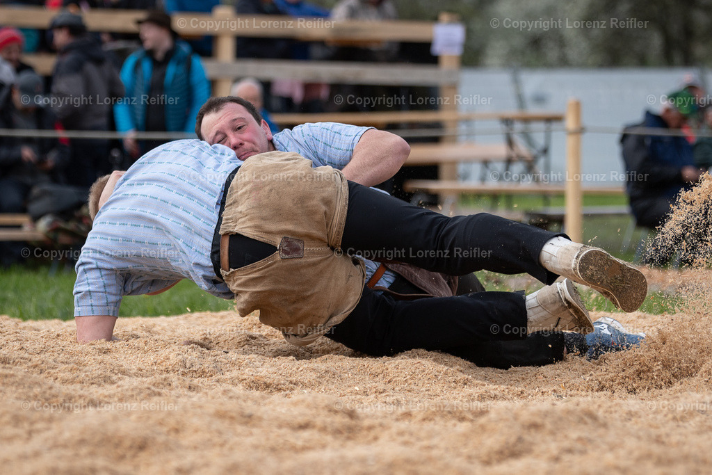 Schwingen -  Rheintal-Oberländer 2024 | Trübbach, 24.3.24, Schwingen - Rheintal-Oberländer.