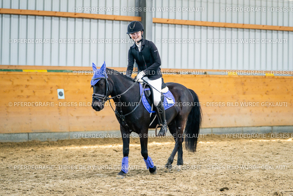 DSC01251 | Pferdegrafie