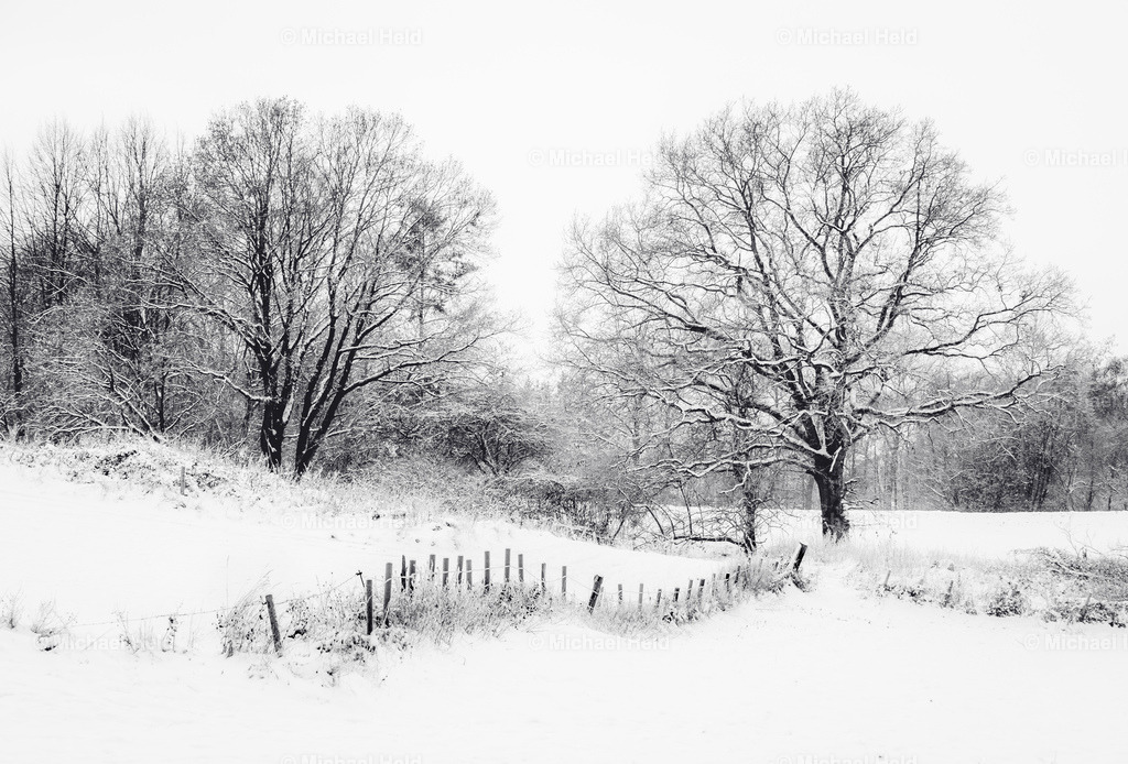 Winter in Schleswig-Holstein | Profi-Fotos über Schleswig-Holstein und dem ganzen Norden für Büro, Hotel, Ferienhaus, Ferienwohnung, Wohnzimmer, Arztpraxis uvm. jetzt bestellen. - Realisiert mit Pictrs.com