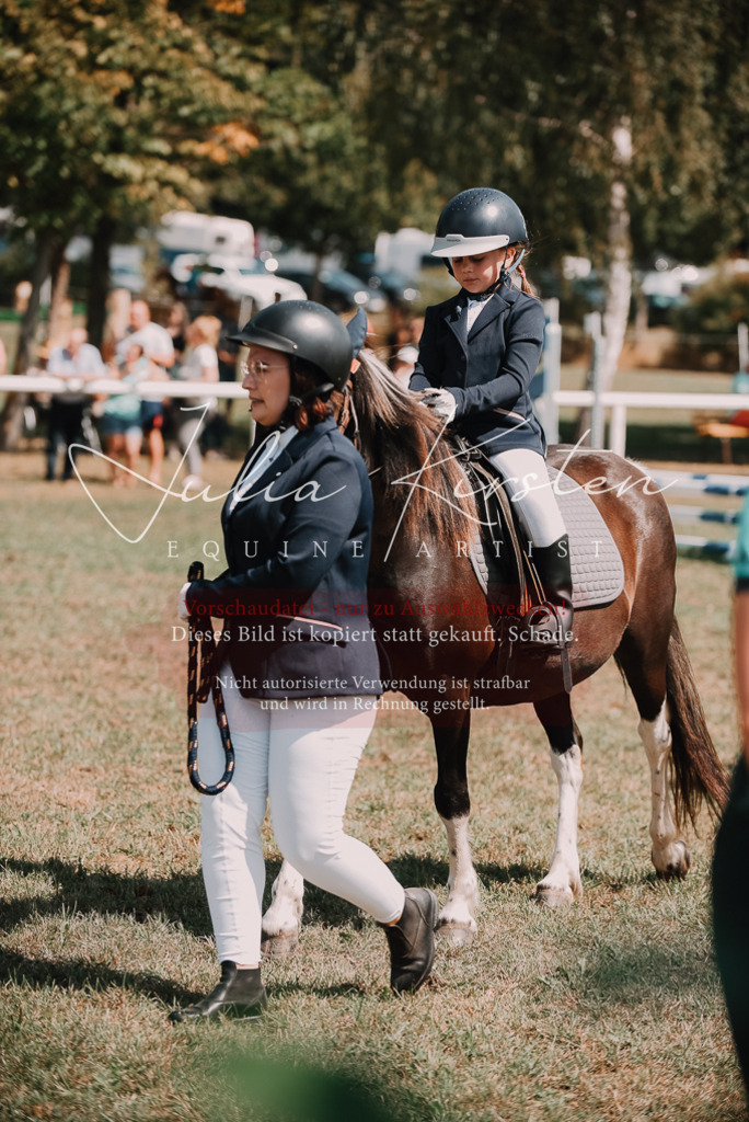 DSC_6035 | Pferde- und Turnierfotografie in Westsachsen. Pferdeportraits, Auftragszeichnungen und intuitive Kunst.