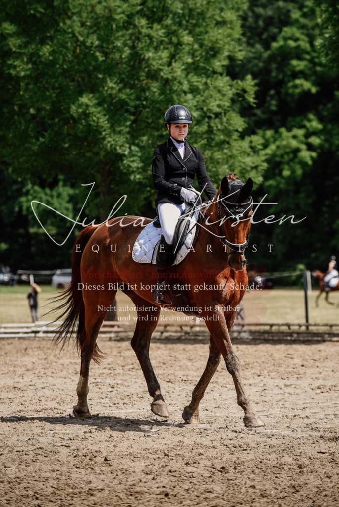 DSC_1380 | Pferde- und Turnierfotografie in Westsachsen. Pferdeportraits, Auftragszeichnungen und intuitive Kunst.