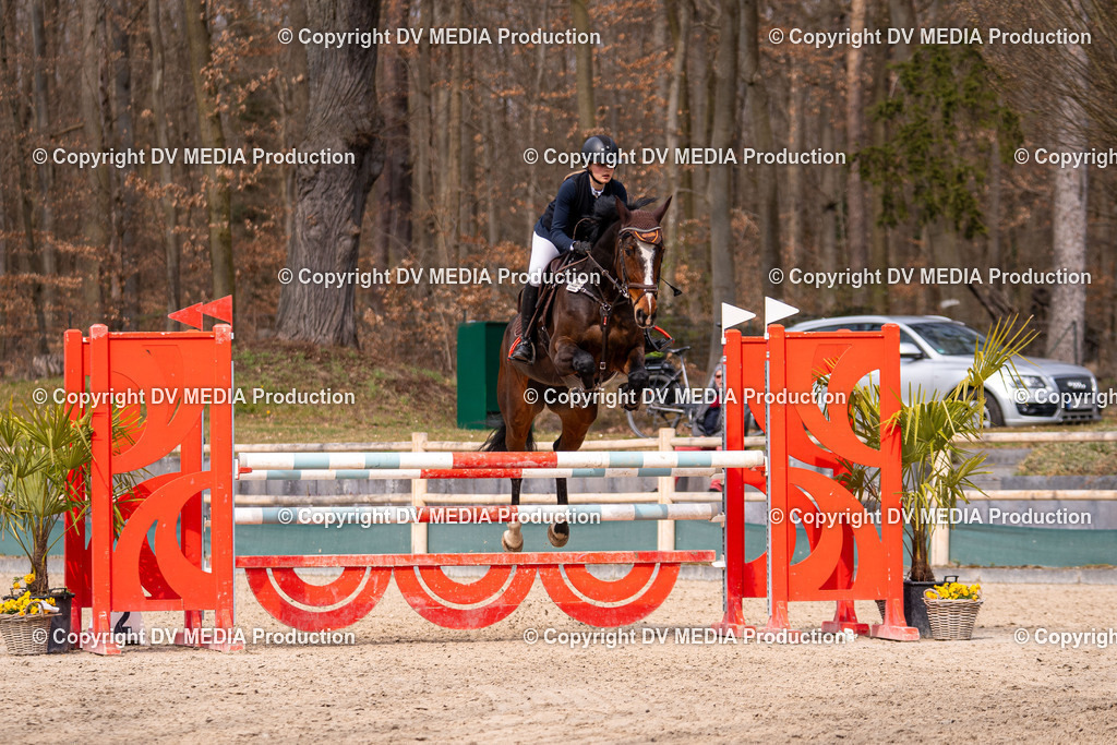 Kranichstein Tag 2-2001 | dv-media-shop - Realisiert mit Pictrs.com