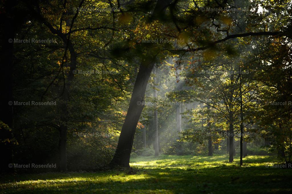 _DSC9627 | foto-rosenfeld