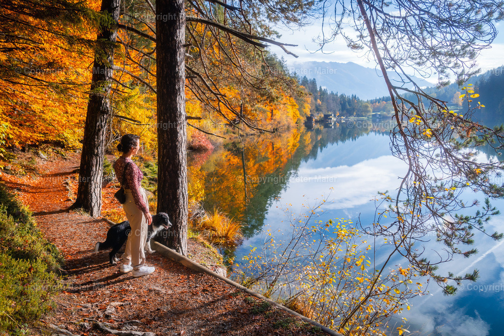 TristacherSee_Herbst_2023-8 | piet_flosse