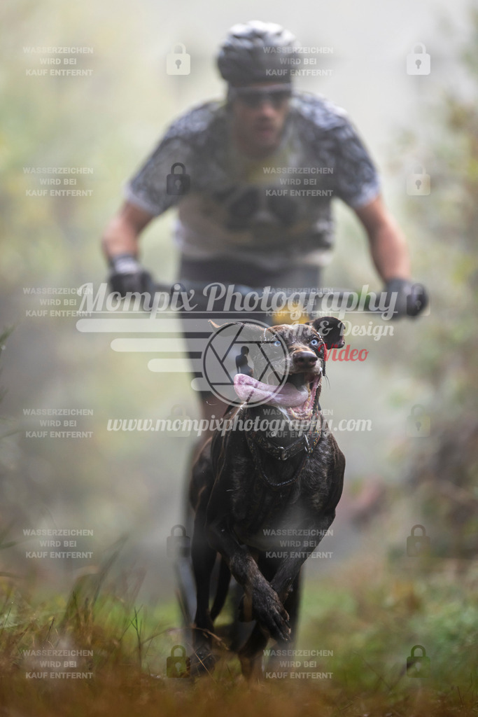 MompixPhotography_20TSB_E4_DS1-4 | PayLife