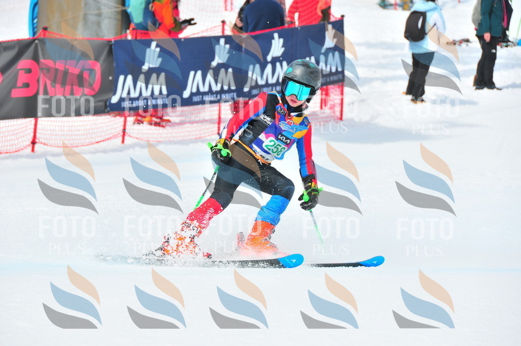 DSC_2403 | holidayphoto