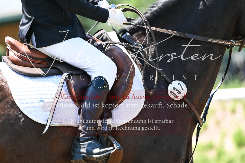 DSC_0343 | Pferde- und Turnierfotografie in Westsachsen. Pferdeportraits, Auftragszeichnungen und intuitive Kunst.