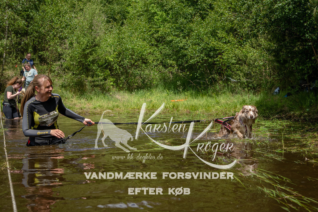 1215DKK992319 | kk-dogfotos