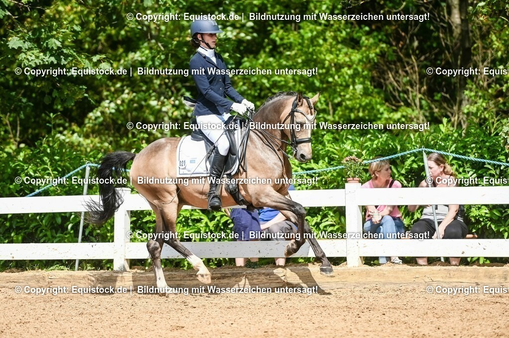 20230716_01_Dressurprüfung Kl.M_0228 | equistock
