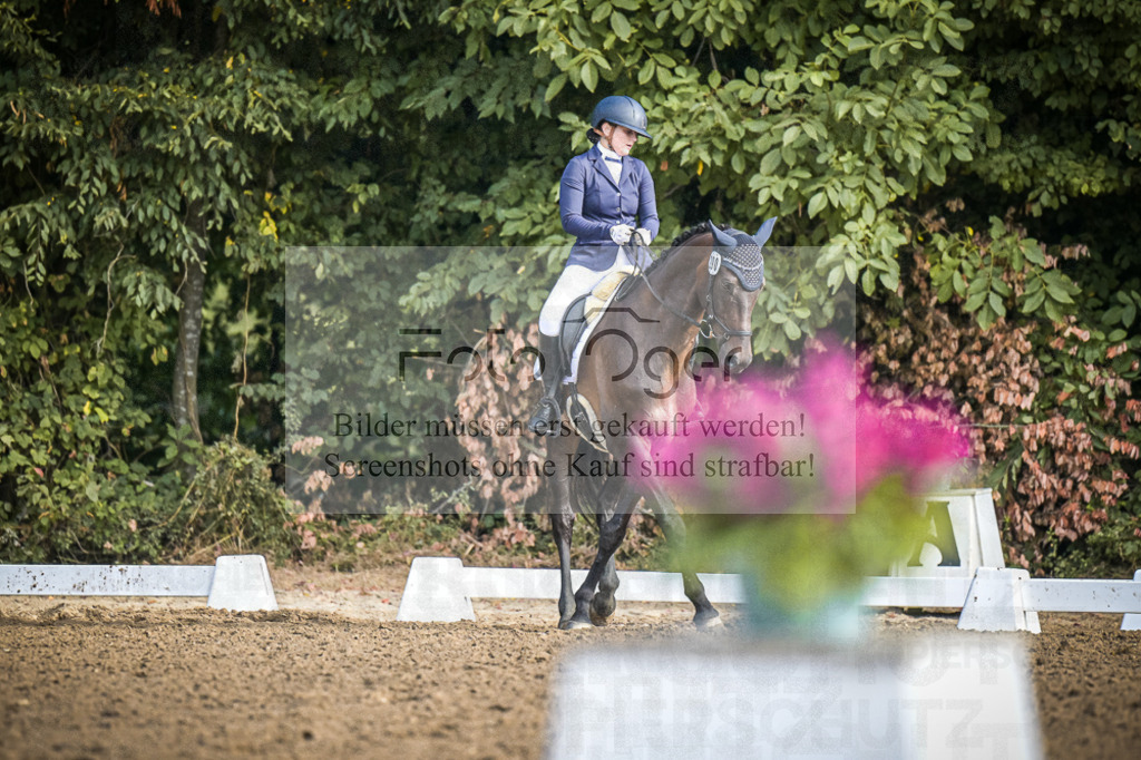 DOS_0408 | Entdecke hochwertige Reitturnierfotos von Foto Oger. Professionell, emotional und authentisch – jetzt Lieblingsmomente im Shop bestellen.Deutschlandweite Turnierfotografie. - Realisiert mit Pictrs.com