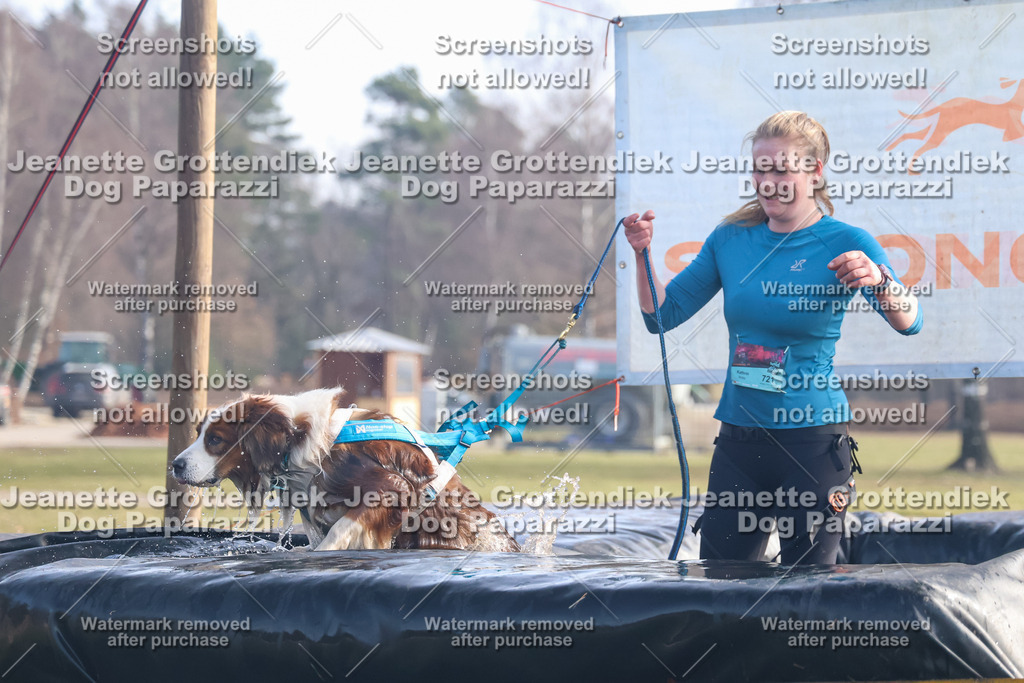 Dog Paparazzi - Strongdog North Mrz26-446 | Dog Paparazzi Jeanette Grottendiek Fotografie & Videografie - Realisiert mit Pictrs.com
