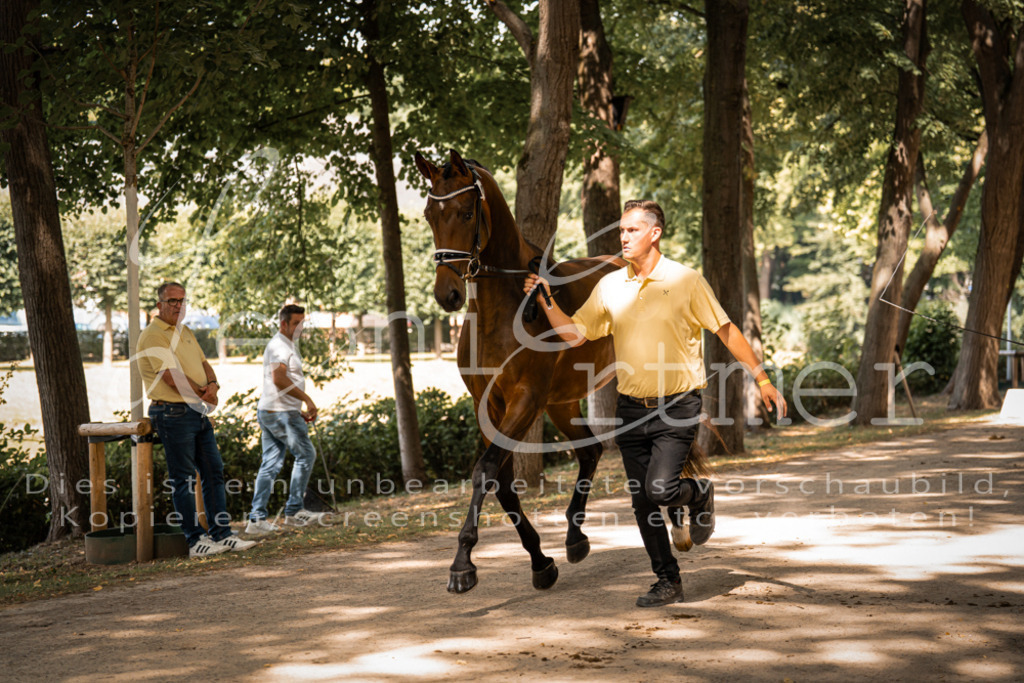 FrPfM00190 | Leoni Ertmer Photography - Realisiert mit Pictrs.com