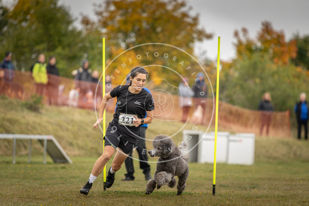 Pfotenfotografie_DV3A3756 | Hundefotografie, Tierfotograf, Pfotenfotografie, Fotoshooting Hund, Hunde Portrait, Hundesport, Hundeportraits, Heideshooting, Hunde, Sportfotograf, Hundefotograf, Turnierhundsport, THS,  - Realisiert mit Pictrs.com