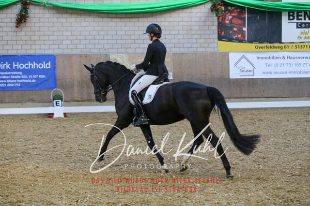 IMG_2566 | Turnierfotos kaufen im Webshop von Daniel Kuhl Photography – entdecke professionelle Reitsportfotos aus Turnieren & Events. Hochwertige Turnierbilder online bestellen & sichern. Jetzt Fotos von Reitsportturnieren kaufen!