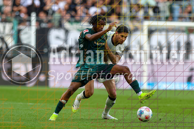 Borussia Mönchengladbach vs SV Werder Bremen - Bundesliga  | Mönchengladbach, Deutschland, 14.09.25:   Samuel-Germain Kinduelu Mbangula Tshifunda (SV Werder Bremen) und Kevin Diks (Borussia Mönchengladbach) im Kampf um den Ball waehrend des Spiels der Bundesliga zwischen Borussia Mönchengladbach vs SV Werder Bremen im Stadion im Borussia Park(Foto von Brauer-Fotoagentur / Adrian Schlueter)