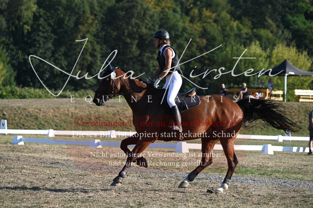 DSC_9115 | Pferde- und Turnierfotografie in Westsachsen. Pferdeportraits, Auftragszeichnungen und intuitive Kunst.
