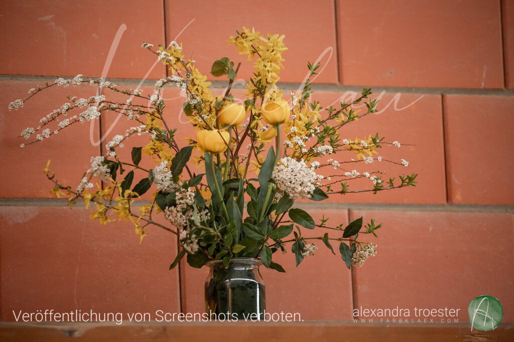 250405_Barop_06_149 | farbklaex.com